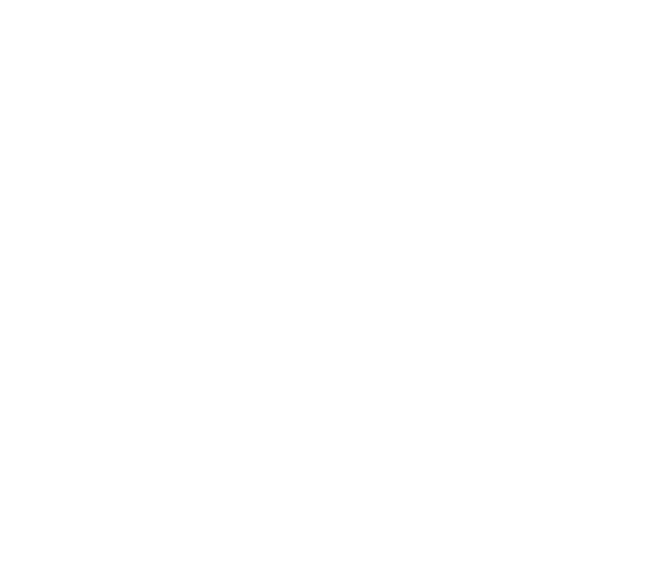 Agencia de Aduanas Moya - Conectando Fronteras
