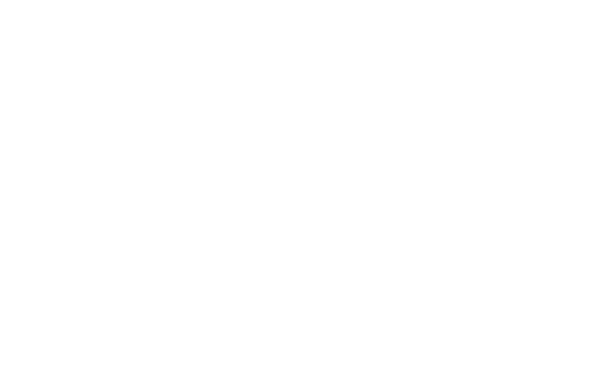 Agencia de Aduanas Moya